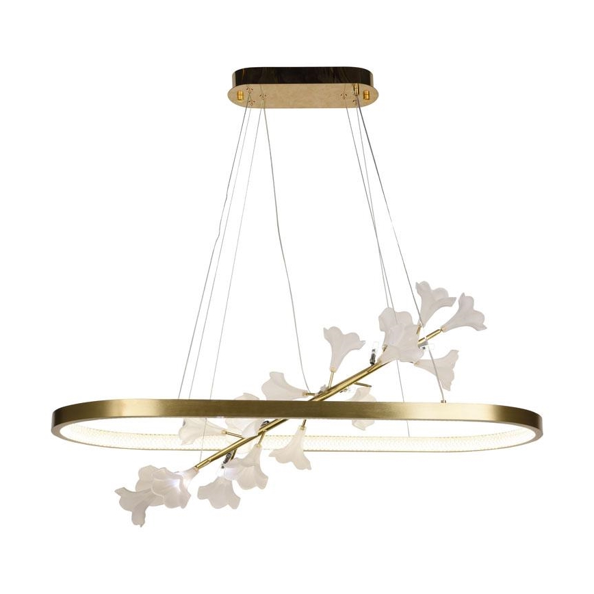 Lustre LED regulável em cabo LED/65W/230V 3000-6500K + comando à distância