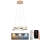 Lustre LED regulável em cabo LED/65W/230V 3000-6500K diâmetro 48 cm dourado + comando à distância