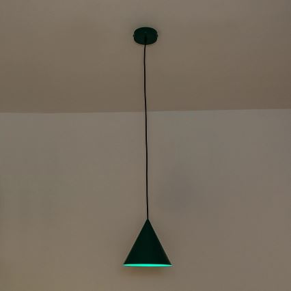 Lustre suspenso em cabo ETNA 1xE27/15W/230V, diâmetro 18,5 cm, verde