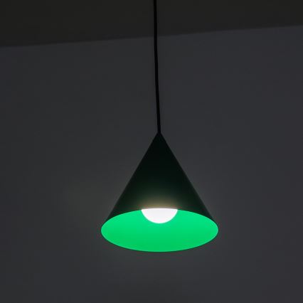 Lustre suspenso em cabo ETNA 1xE27/15W/230V, diâmetro 18,5 cm, verde
