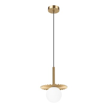 Lustre suspenso por cabo CHITA 1xG9/5W/230V dourado