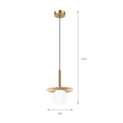 Lustre suspenso por cabo CHITA 1xG9/5W/230V dourado