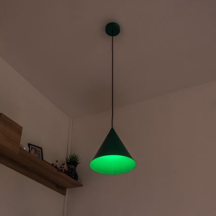Lustre suspenso por cabo ETNA II 1xE27/15W/230V, diâmetro 25 cm, verde