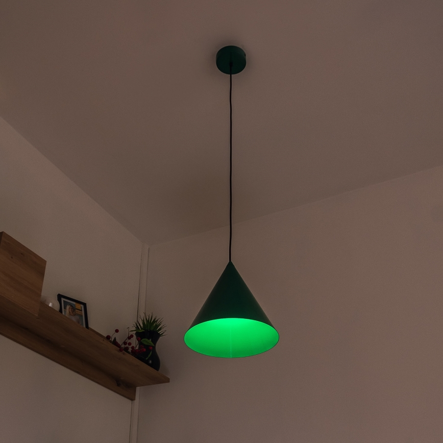 Lustre suspenso por cabo ETNA II 1xE27/15W/230V, diâmetro 25 cm, verde