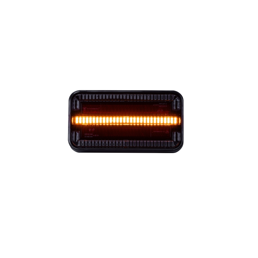 Luz combinado LED LED/12-24V IP65