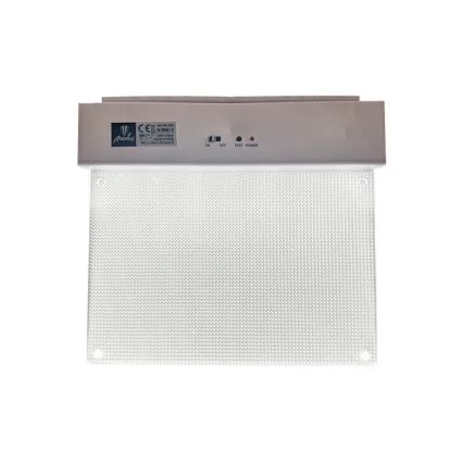 Luz de Emergência LED/2W/230V 6000K 300 mAh