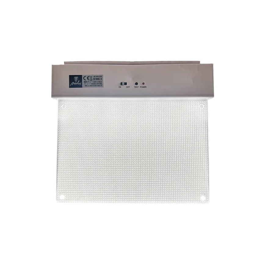 Luz de Emergência LED/2W/230V 6000K 300 mAh