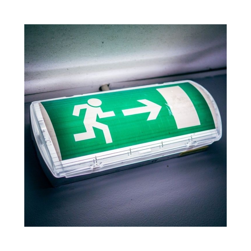 Luz de Emergência LED EMERGENCY EXIT LED/3W/230V IP65 6000K 1200mAh