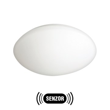 Luz de exterior com sensor PETRA 1xE27/60W/230V vidro opaco IP44