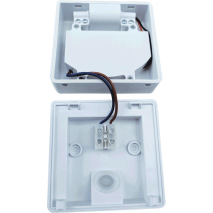 Luz de inundação LED de exterior com sensor FLIP LED/10W/230V IP65