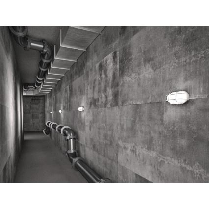 Luz de parede de exterior OVAL 1xE27/60W/230V branco IP44