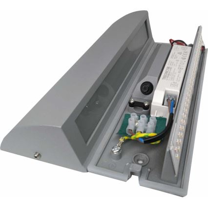 Luz de parede LED de exterior LED/10W/230V IP54