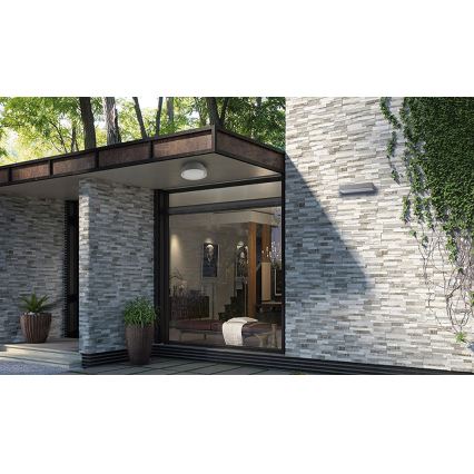 Luz de parede LED de exterior LED/12W/230V IP54