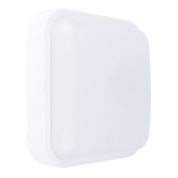 Luz de parede LED de exterior LED/20W/230V IP54 