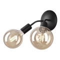 Luz de parede VIGGO 2xE27/60W/230V