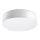 Luz de teto ARENA 45 3xE27/60W/230V branco