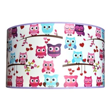 Luz de teto de criança OWLS 2xE27/60W/230V