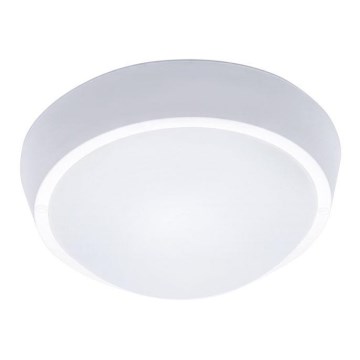 Luz de teto de exterior LED 1xLED/30W/230V  IP65