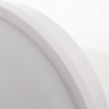 Luz de teto de exterior LED LED/20W/230V IP65