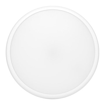 Luz de teto de exterior LED MOVA LED/16W/230V IP65