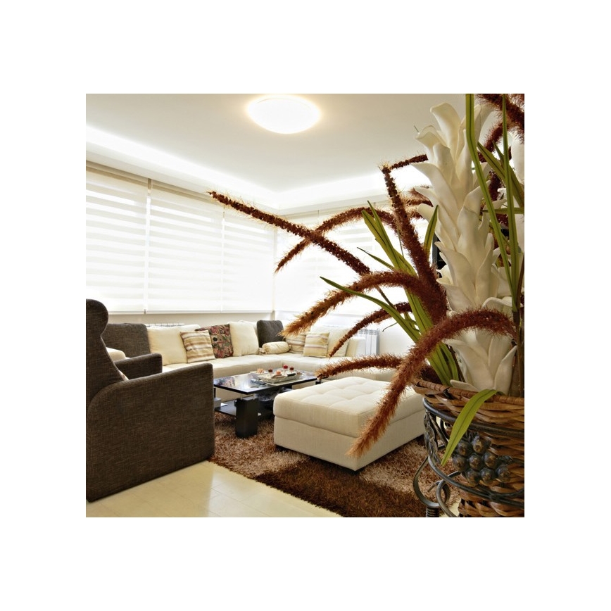 Luz de teto de exterior LED NELA LED/32W/230V IP44