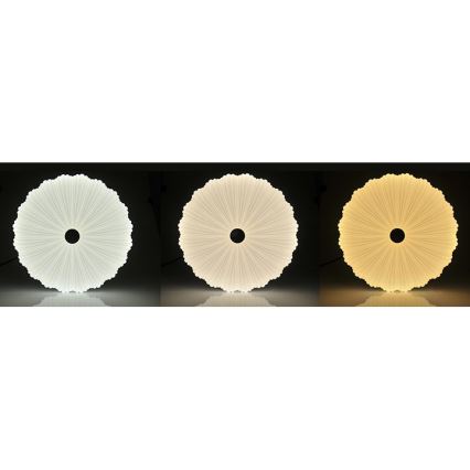 Luz de teto fosca LED FLOWER LED/36W/230V + RC