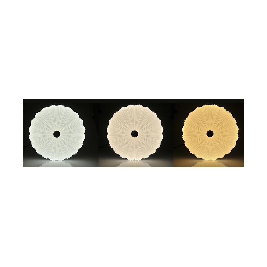 Luz de teto fosca LED FLOWER LED/36W/230V + RC