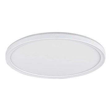 Luz de teto fosca LED PAVEL LED/22W/230V