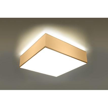 Luz de teto HORUS 35 2xE27/60W/230V branco