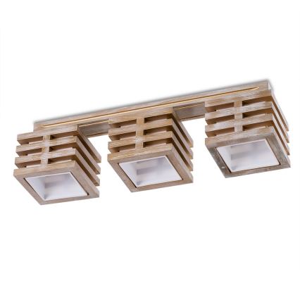 Luz de teto HOUSTON 3xE27/40W/230V