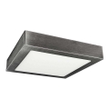 Luz de teto LED FENIX LED/12W/230V 3800K 17 cm