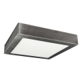 Luz de teto LED FENIX LED/24W/230V 2800K 29,8 cm