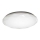 Luz de teto LED IRIDIO 1xLED/24W/230V
