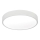 Luz de teto LED LED/16W/230V