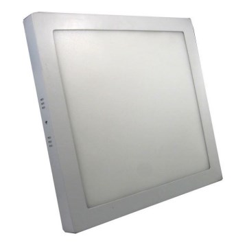 Luz de teto LED LED/24W/230V 3000K
