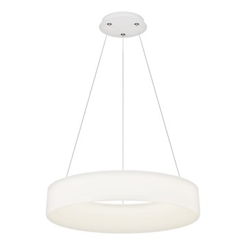 Luz de Teto LED Regulável HALO LED/60W/230V 3000-6500K 60 cm + Controlo Remoto