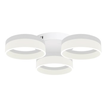 Luz de teto LED RING 3xLED/12W/230V branco