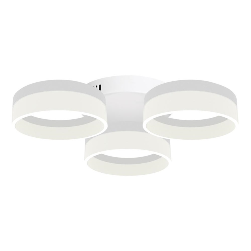 Luz de teto LED RING 3xLED/12W/230V branco