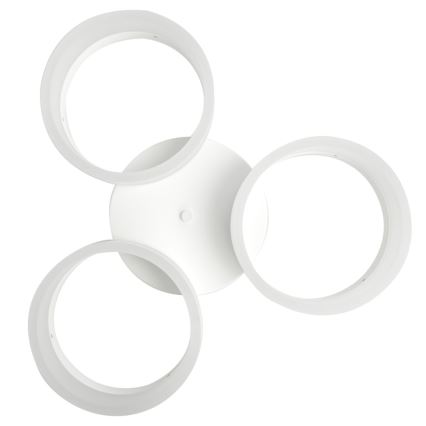 Luz de teto LED RING 3xLED/12W/230V branco