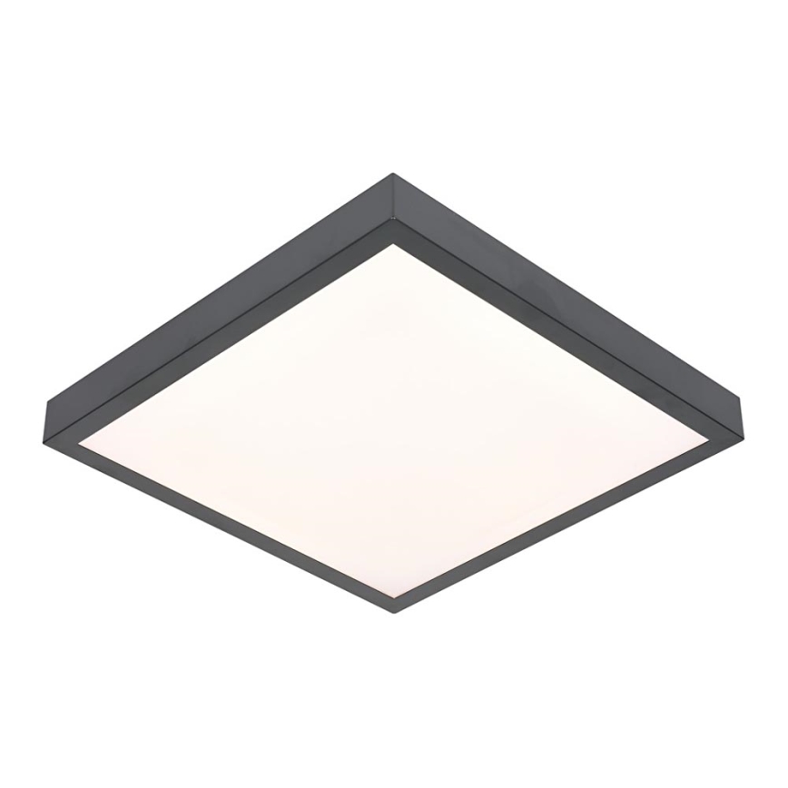 Luz de teto LED VITALI LED/24W/230V