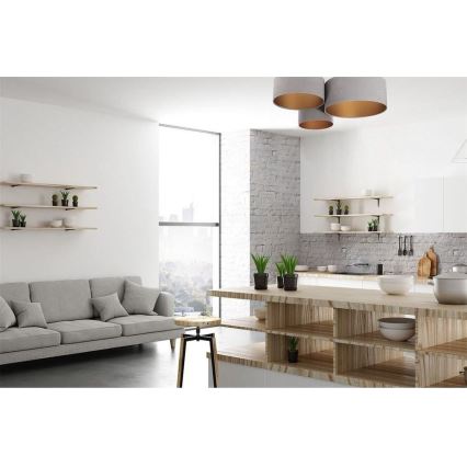 Luz de teto SPACE 3xE27/60W/230V