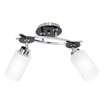 Luz de teto TOKIO 2xE27/60W/230V