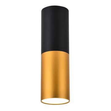 Luz de teto TUBA 1xGU10/15W/230V