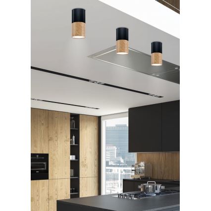 Luz de teto TUBA 1xGU10/50W/230V preto