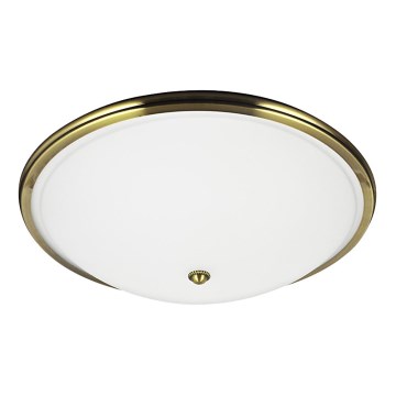 Luz de teto VIOLA 2xE27/40W/230V