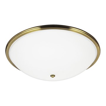 Luz de teto VIOLA 3xE27/40W/230V