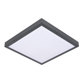 Luz de teto VITAL 2xE27/60W/230V antracite