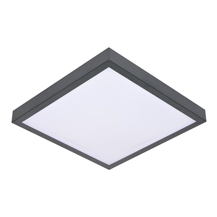 Luz de teto VITAL 2xE27/60W/230V antracite