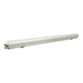 Luz de trabalho fluorescente LED LED/30W/230V IP65