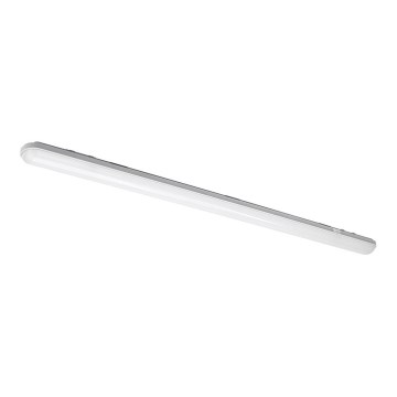 Luz de trabalho fluorescente LED NEGRO LED/36W/230V IP65 6000K
